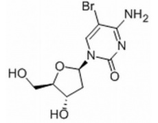 植物激素及核酸類