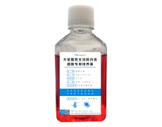 原代細(xì)胞專(zhuān)用培養(yǎng)基