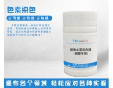 色素染色